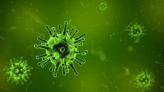 virus-1812092_1920