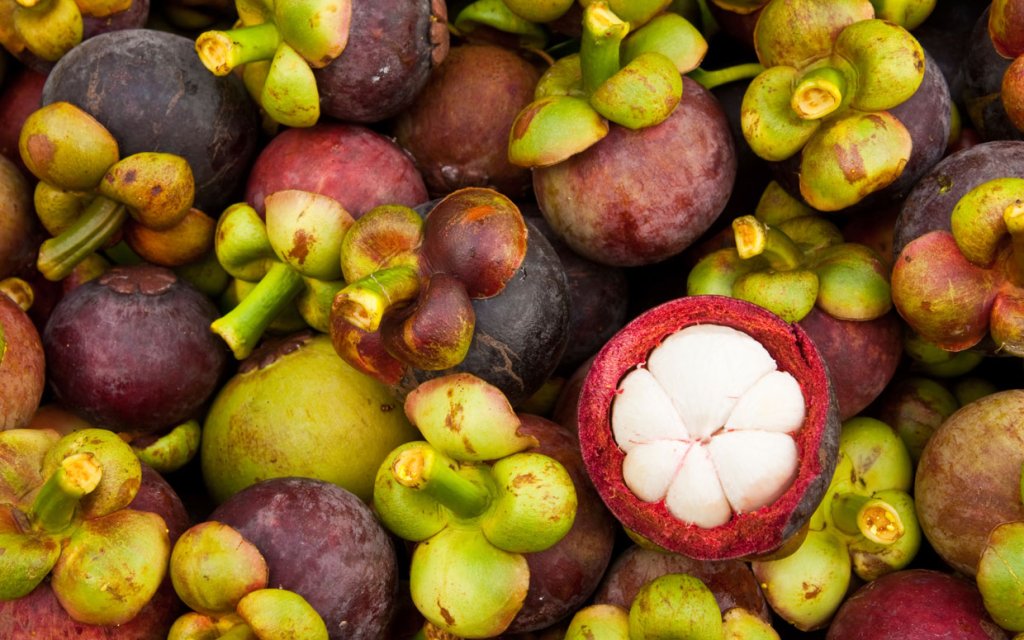 Мангостин / Mangosteen