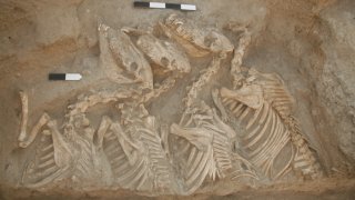 low-res_equid_burial_umm_el-marra_glenn_schwartzjpg