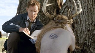 true detective, истински детектив