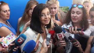 меглена кунева, кунева, реформаторски блок