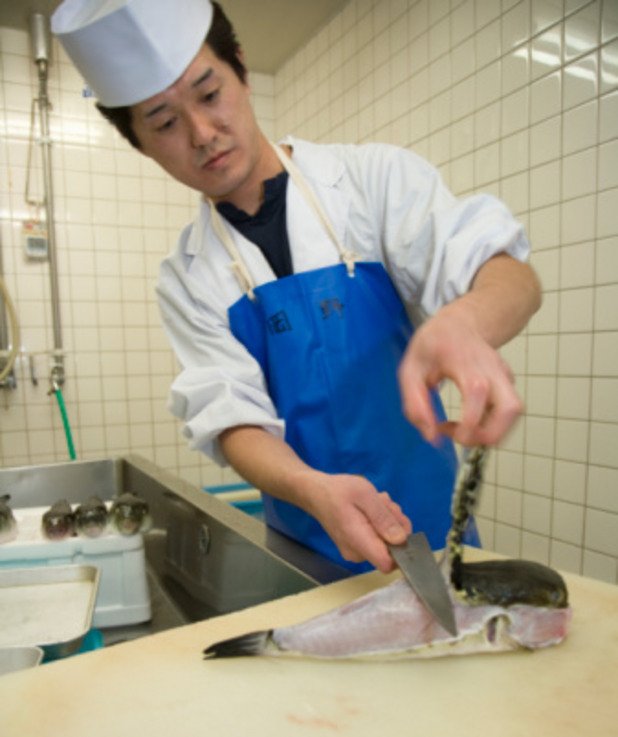 Риба Фугу Фугу от вида „риба балон" е сред най-изисканите японски деликатеси, но само ако се приготви от лицензиран майстор-готвач. Тя е силно отровна и може да ви убие - или в най-добрия случай да ви причини задушаване.
Отровата парализира мускулите, като жертвата остава в пълно съзнание до смъртта си. Рибата, която обикновено се яде сурова, се чисти внимателно от дроба и яйчниците, които съдържат тетродотоксин (откъдето идва и името на рибите от семейство Tetraodontidae). Това е вещество 1200 пъти по-токсично от цианида. Въпреки това японците продължават да консумират по 10 000 тона от тази риба годишно.