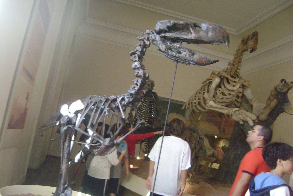 1064376_-_Megafauna_-_Museu_Nacional_de_História_Natural_UFRJ_-_22_Outubro_2010_-_Rio_de_Janeiro_-_Brazil
