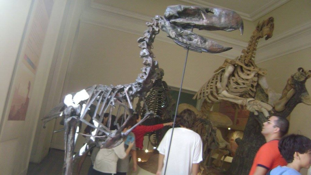 1064376_-_Megafauna_-_Museu_Nacional_de_História_Natural_UFRJ_-_22_Outubro_2010_-_Rio_de_Janeiro_-_Brazil