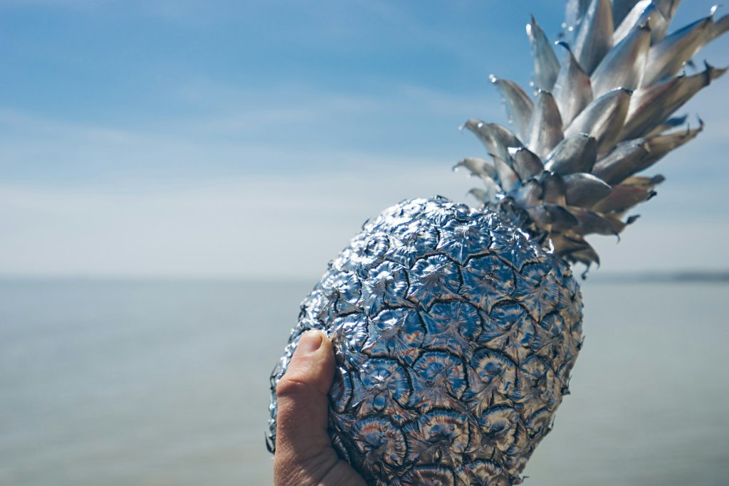 pineapple-supply-co-purEpNm5Zt8-unsplash