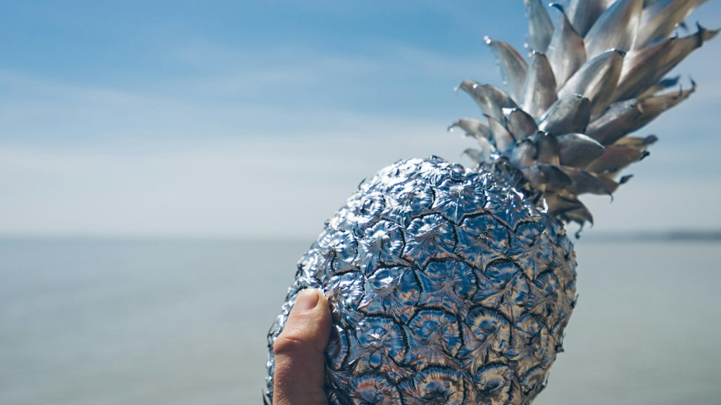 pineapple-supply-co-purEpNm5Zt8-unsplash
