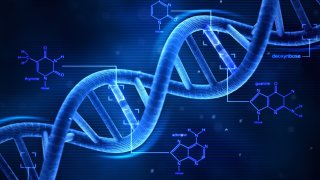 dna-activation-meditatoin
