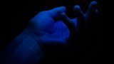 snach-ShlhHNdsd2o-unsplash