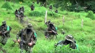 Картели, милиции и венецуелската армия си оспорват територии от двете страни на границата на страната с Колумбия