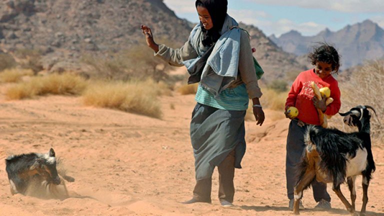 Пастирките, които живеят някъде из пустошта, се радват на току-що получените от нас подаръци - франзела, ябълки и шоколад.