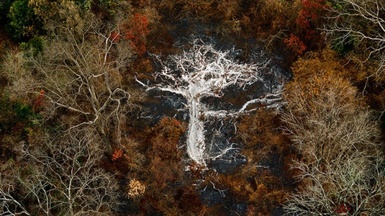 Gorohoui Kongoli Mountains, Бряг на слоновата кост