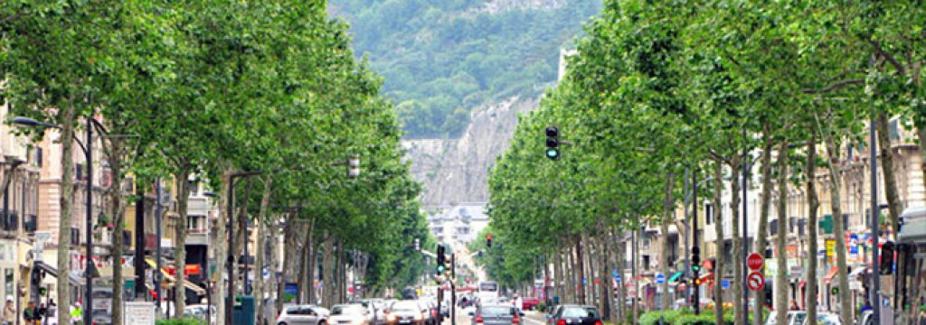 grenoble_3116354b