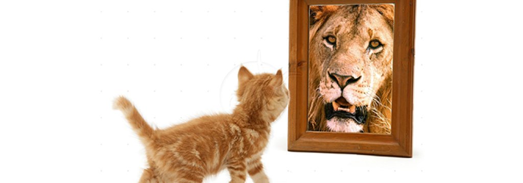 looking-in-the-mirror1