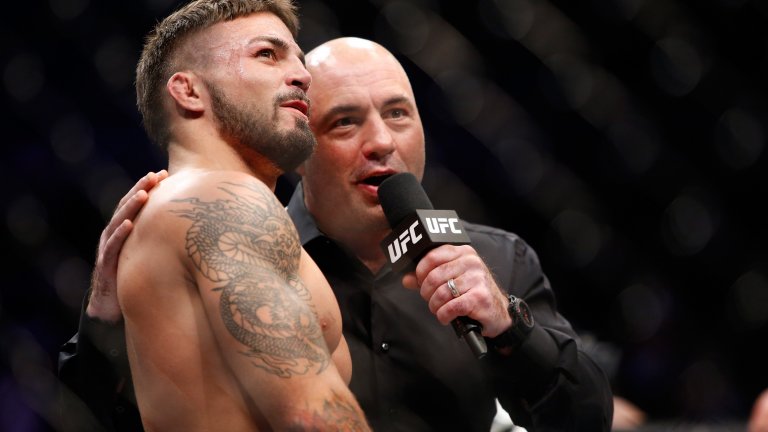 За мнозина Роугън е познат като репортер и водещ на мачовете от MMA шампионата UFC. През целия живот на комика бойните изкуства заемат важно място.