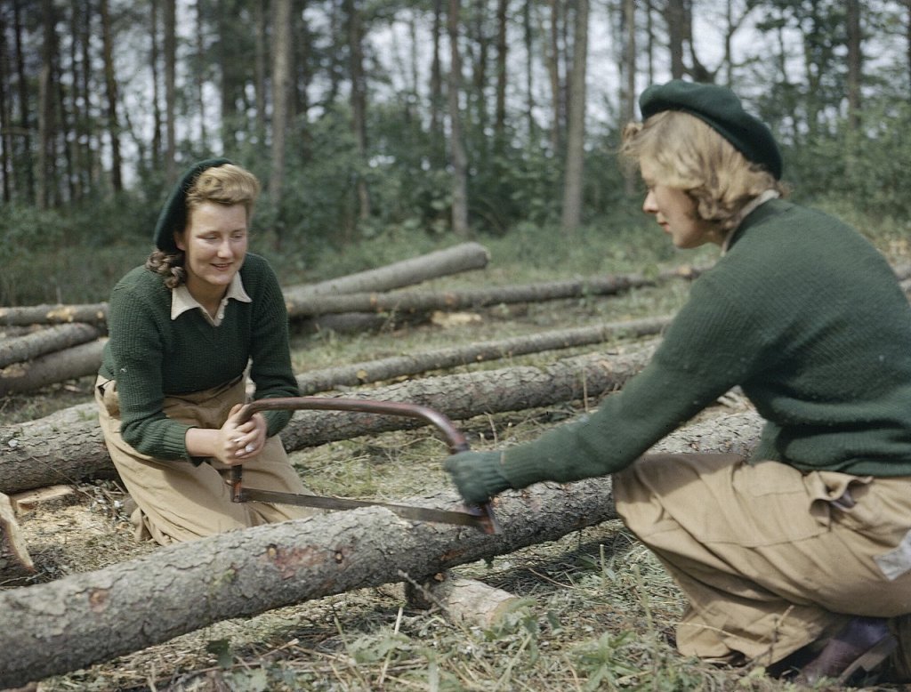 1280px-Land_Army_girls_sawing_larch_poles_for_use_as_pit_props_at_the_Women's_Timber_Corps_training_camp_at_Culford_in_Suffolk._TR912