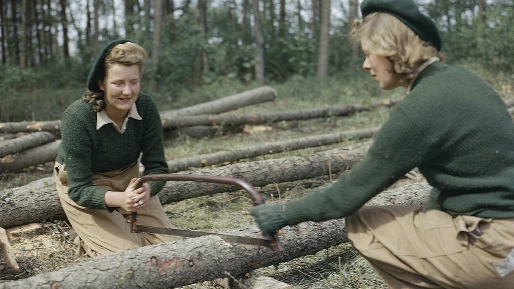 1280px-Land_Army_girls_sawing_larch_poles_for_use_as_pit_props_at_the_Women's_Timber_Corps_training_camp_at_Culford_in_Suffolk._TR912