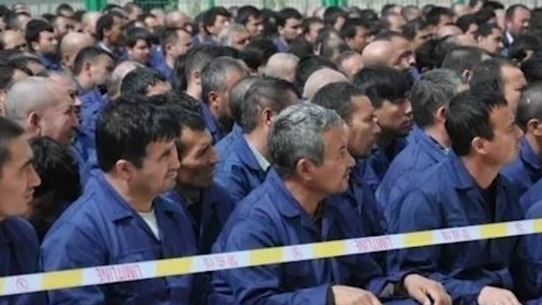 Близнаци, опитващи се да получат статут на бежанци, отчаяно се стремят да избeгнат съдбата на техен приятел, който за първи път разказва историята си на прекарано време в лагер за превъзпитаване в Китай (какъвто предполагаемо е този на снимката)