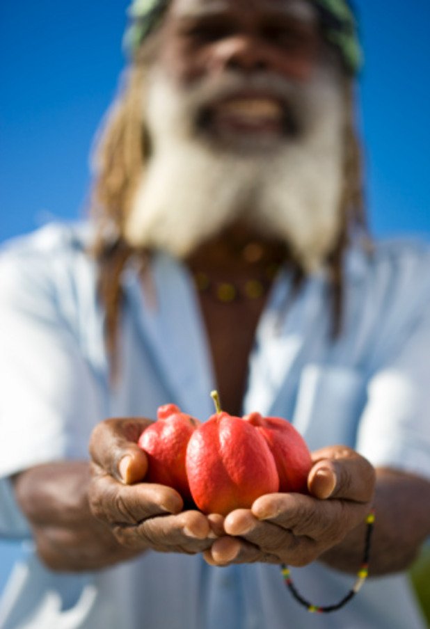 Аки (Блигия) Това е националният плод на Ямайка, но само една хапка може да ви причини онова известно като ямайска болест с повръщане. Ако се яде преди да е узрял, този плод дори може да ви убие. Семената му са силно токсични, затова се консумира само в определен период на зрялост.
