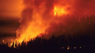forest_fire