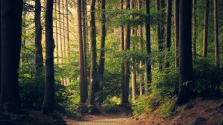 lukasz-szmigiel-jFCViYFYcus-unsplash