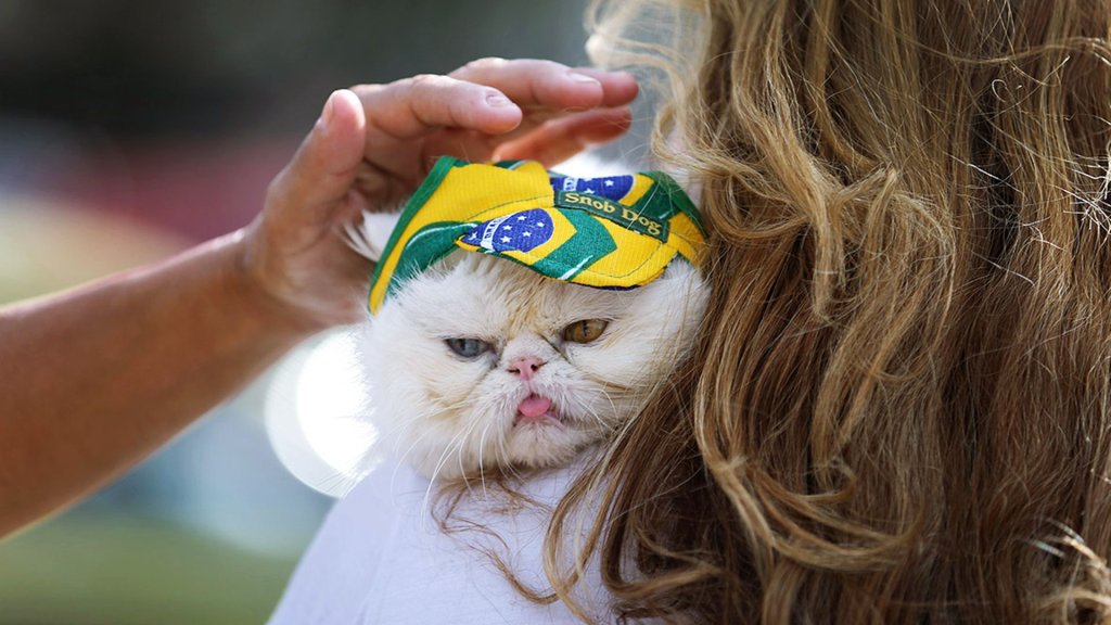 Opening Ceremony FIFA 2014 World Cup Brazil Cat Fan Wallpaper