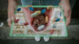 matteo-badini-kb1pUCGIHMw-unsplash