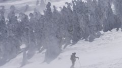 По крайбрежието на Японско море валежите са в бедствени количества (снимката е архивна)