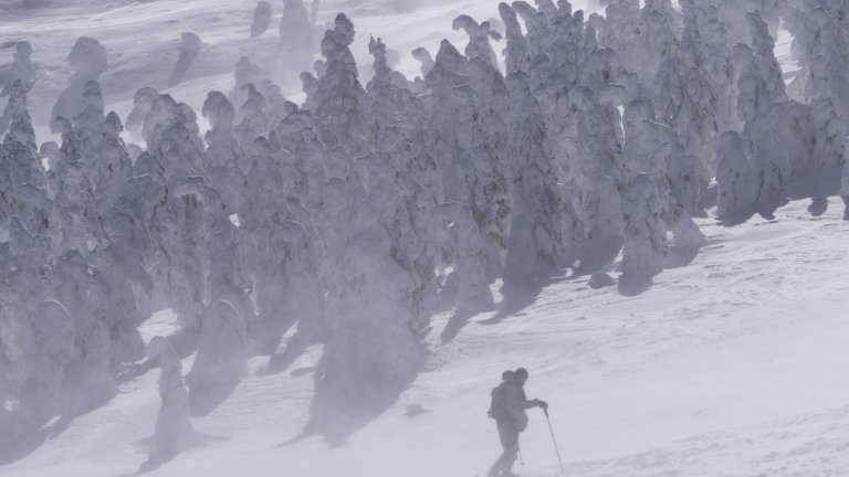 По крайбрежието на Японско море валежите са в бедствени количества (снимката е архивна)