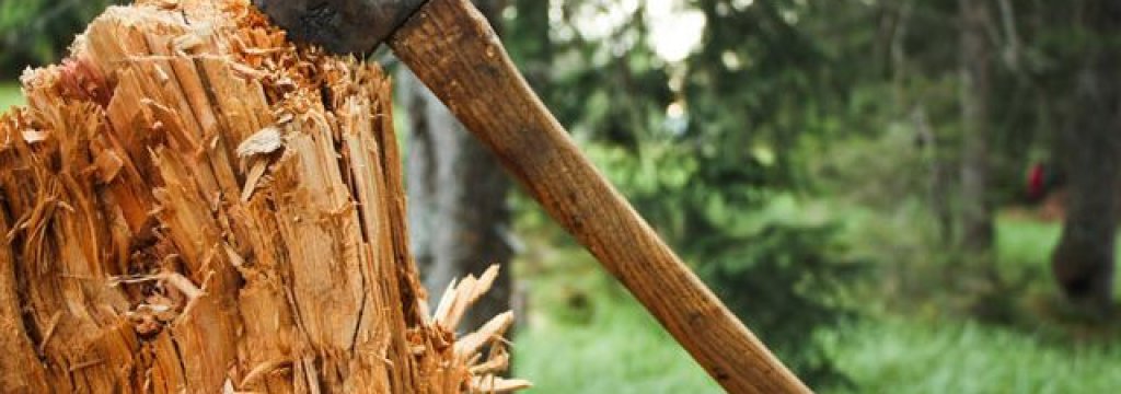 axe_in_tree_stump_24472