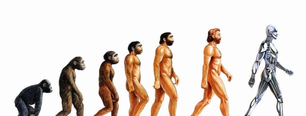Human-Evolution