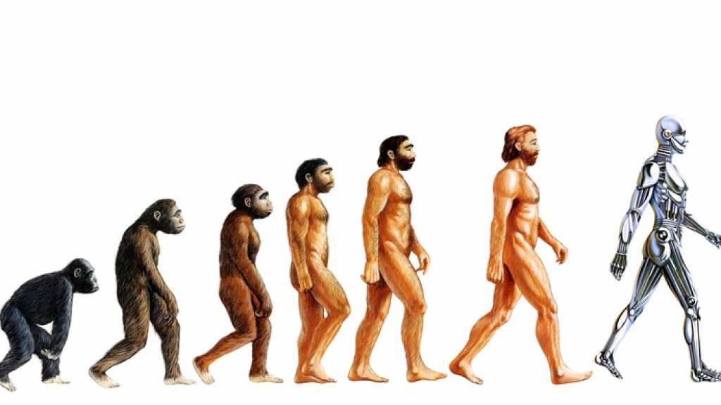 Human-Evolution
