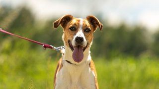 Той е задържан за 24 часа