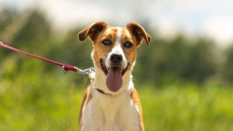 Съотношението 1:7 не е особено правилно.