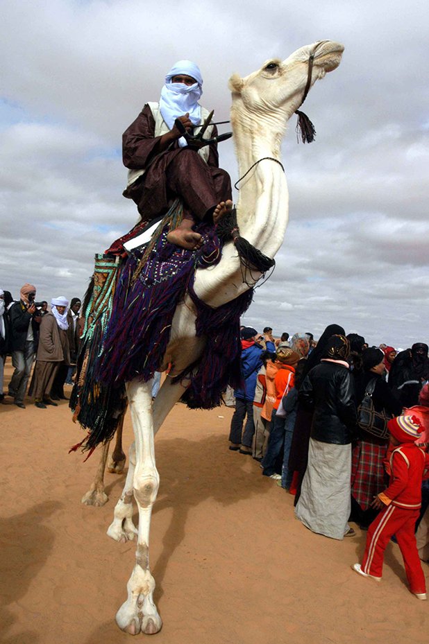 Туарегът Абас е горд със своето махари, както местните наричат ездитните камили. Той е спечелил годишното състезание, което му носи награда от 5000 долара.