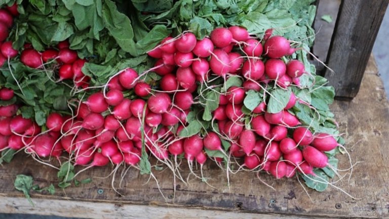 Зеленчуци:
Репички - 37 калории / 100 гр.
Най-важният плюс при консумацията им е фактът, че намаляват кръвното налягане. Ползата вероятно идва от естествено срещаните нитрати, които се превръщат в азотен оксид при усвояването им. Азотният оксид, от своя страна, помага да се отпуснат и разширят кръвоносните съдове, подобрява притока на кръв и понижава кръвното налягане.