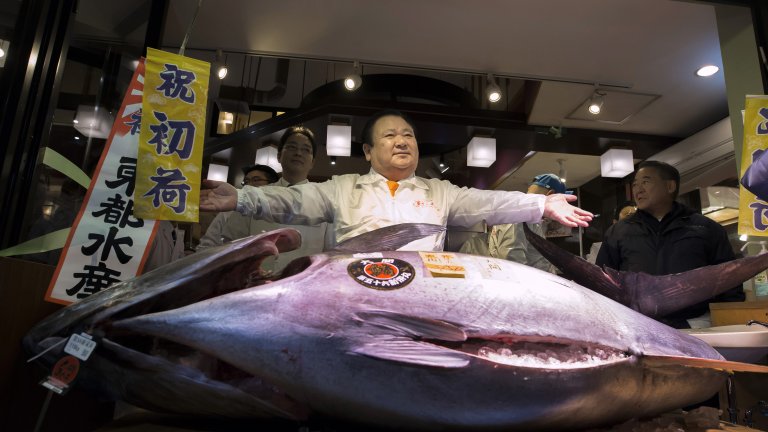 Суровата риба е най-скъпа и ценена в Япония.