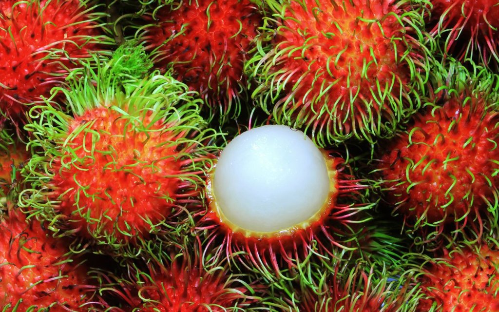 Рамбутан / Rambutan