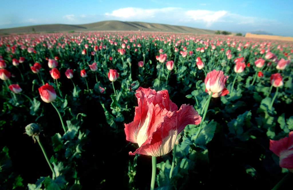 Afghanistan Jump-Starts a New Day