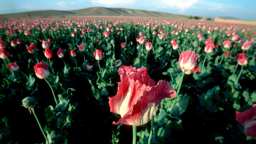 Afghanistan Jump-Starts a New Day
