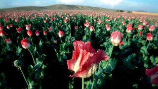 Afghanistan Jump-Starts a New Day