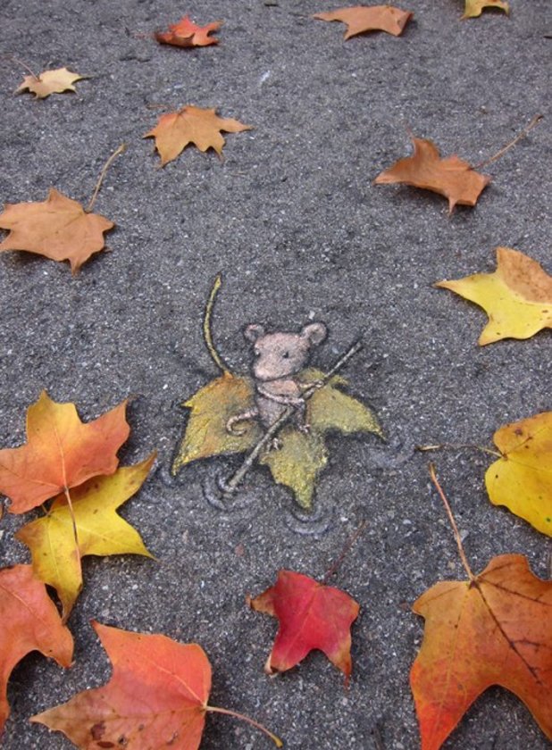 David Zinn, Мичиган