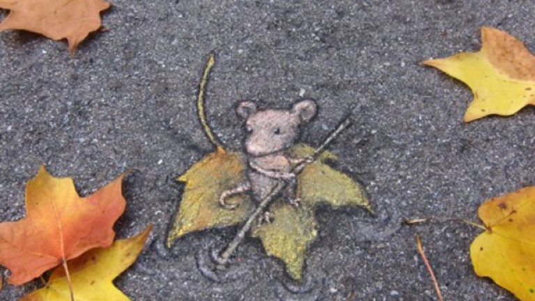 David Zinn, Мичиган