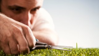 Perfectionist-Cutting-Grass