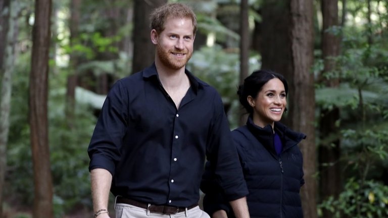 В началото на годината Меган озвучи документален филм на Disney+, посветен на дивата природа в Ботсвана - Elephants, а миналия месец Хари се появи в лентата на Netflix - Rising Phoenix, която подчертава историите на параолимпийските спортисти. Сега се съсредоточават върху теми от фондацията им Archewell