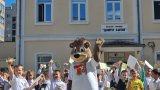TEDI_1 (1)