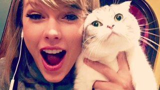 Тейлър Суифт