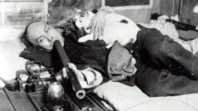 Тази снимка на китаец, който пуши опиум, заедно със своята котка е сред известните туристически картички, пращани някога от Сан Франциско