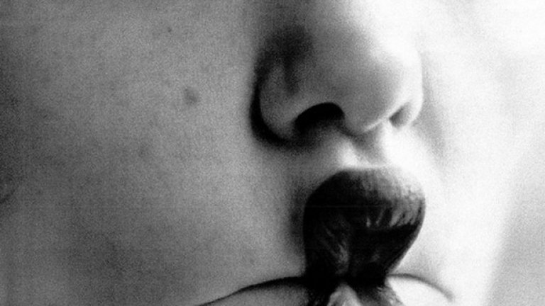 Брад снима Анджелина