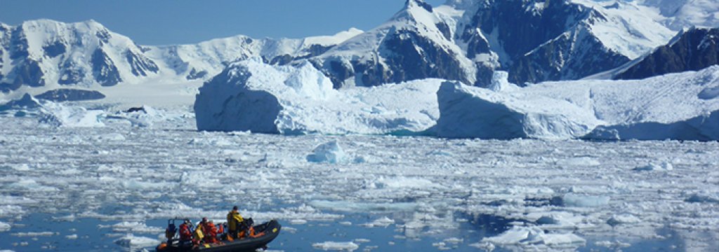 Anne-in-Antarctica
