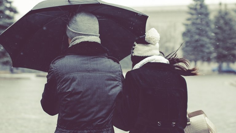 umbrella